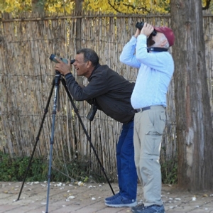 Bird watching planner Merzouga desert