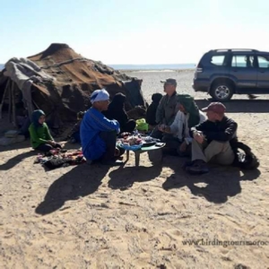 Merzouga Full Day Birding Activity | Erg Chebbi birding day trip in Sahara